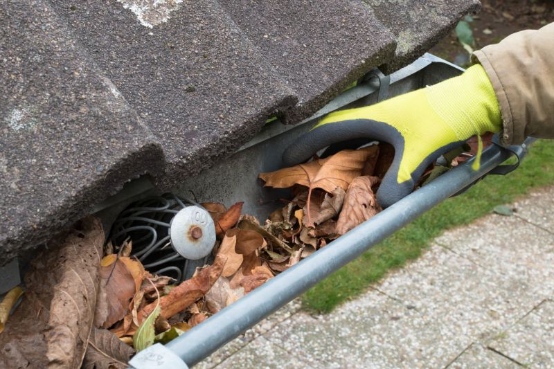 Gutter Cleaning in Fallston